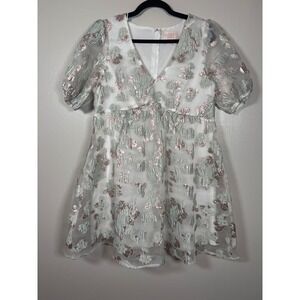 Audrey Parks Francesca's Metallic Floral Jacquard Puff Sleeve Mini Dress Large